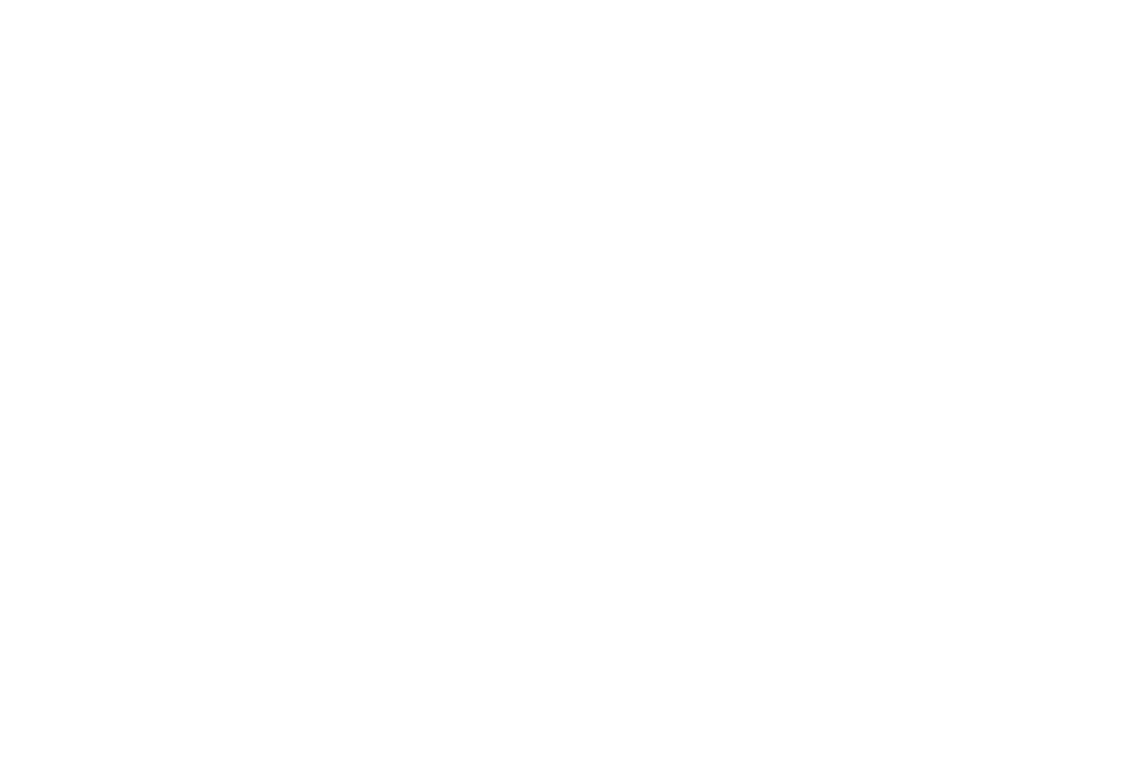 logo Artole branco